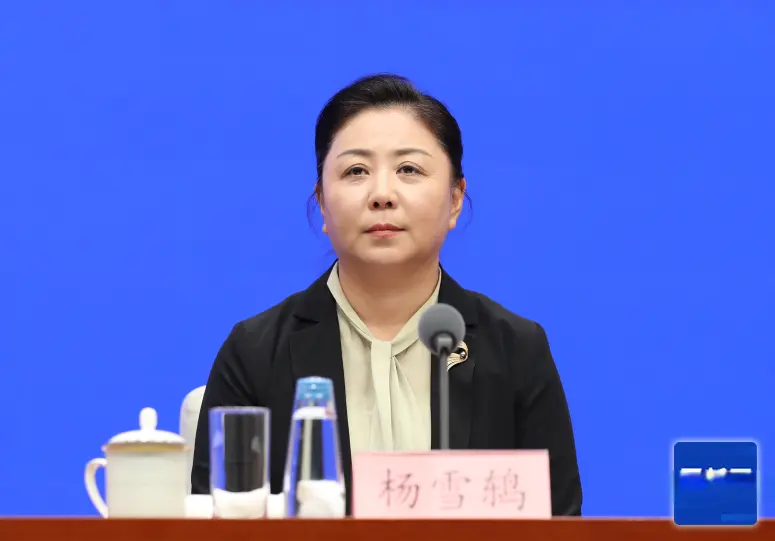 地一共监测